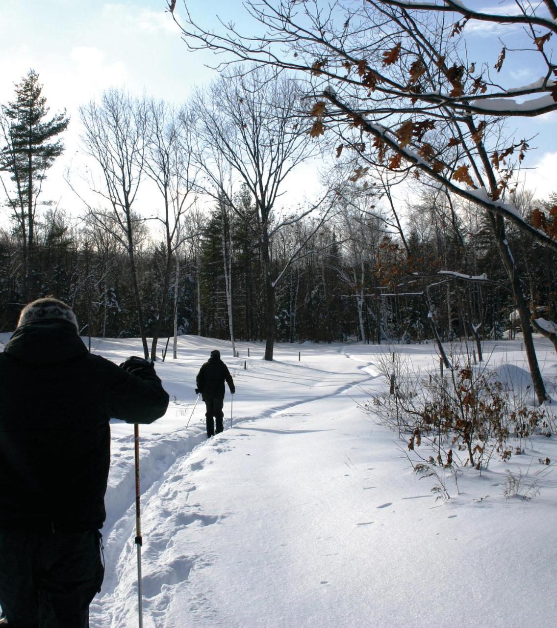 D Acres Farm - Campground Hotel Rumney Bagian luar foto